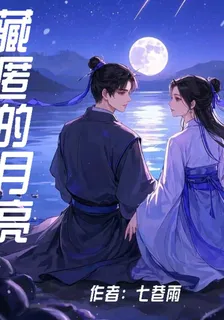 藏匿的月亮 封面