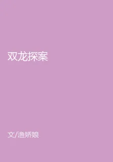雙龍探案 封面