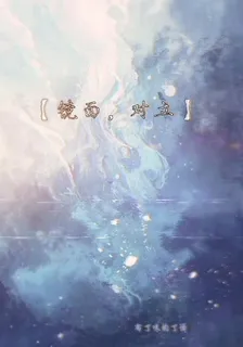 【鏡面，對立】 封面