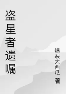 盜星者遺囑 封面