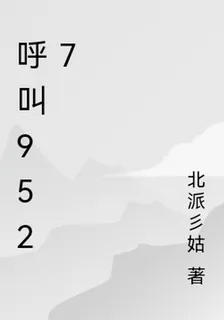 呼叫9527 封面