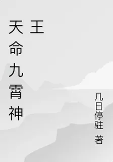 天命九霄神王 封面