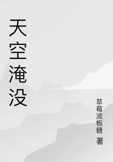 天空淹沒 封面