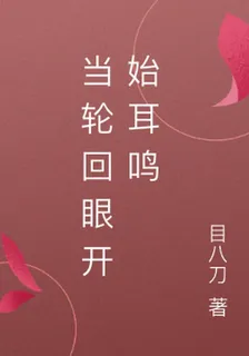 當輪迴眼開始耳鳴 封面