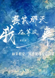其實那天我在等風來 封面