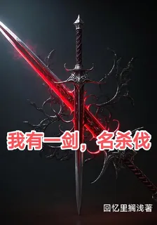 我有一劍，名殺伐 封面