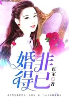 婚非得已 封面