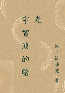 宇智波的曙光 封面