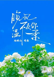 晚風不及你，溫柔 封面