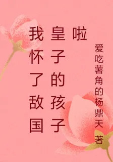 我懷了敵國皇子的孩子啦 封面