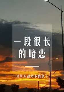 一段很久的暗戀 封面