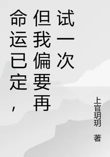 命運已定，但我偏要再試一次 封面
