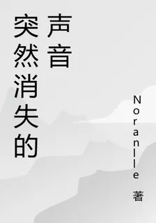 突然消失的聲音 封面