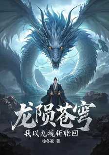 龍隕蒼穹：我以九境斬輪迴 封面