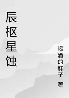辰樞星蝕 封面