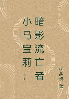 小馬寶莉：暗影流亡者 封面