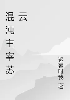 混沌主宰蘇雲 封面