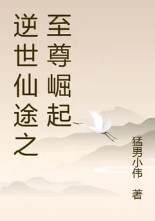 逆世仙途之至尊崛起 封面