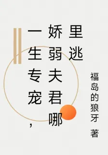 一生專寵，嬌弱夫君哪裏逃 封面