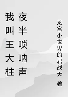 我叫王大柱夜半嗩吶聲 封面