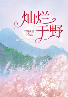 燦爛於野 封面