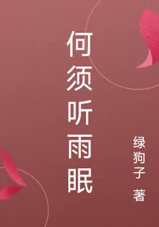 何須聽雨眠 封面