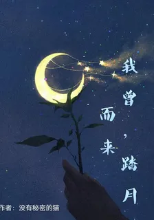 我曾，踏月而來 封面