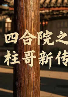 四合院之柱哥新傳 封面
