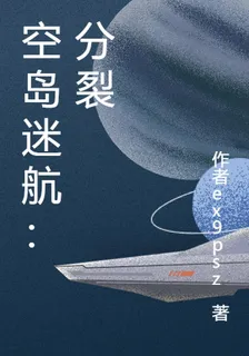 空島迷航：分裂 封面