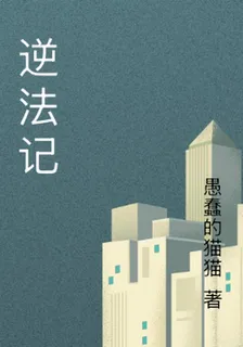 逆法記 封面
