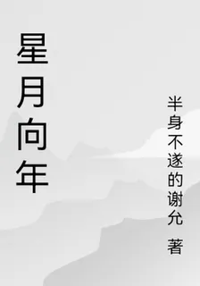 星月向年 封面