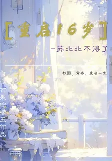 重啓16歲，蘇北北不得了 封面