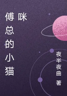 傅總的小貓咪 封面