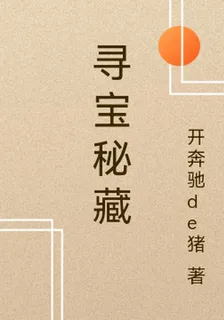 尋寶祕藏 封面