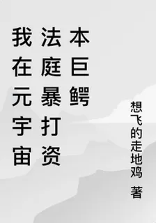 我在元宇宙法庭暴打資本巨鱷 封面
