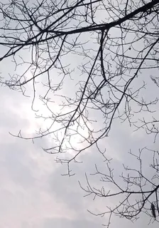 興趣使然的修士 封面