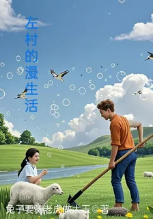 左村的漫生活 封面