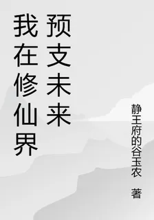 我在修仙界預支未來 封面