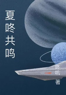 夏咚共鳴 封面