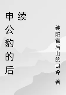 申公豹的後續 封面