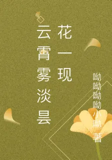 雲霄霧淡曇花一現 封面