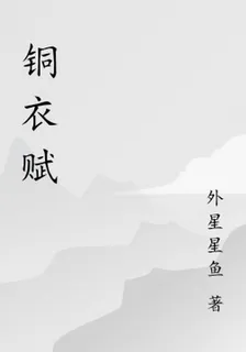 銅衣賦 封面