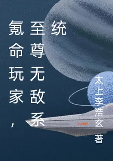 氪命玩家，至尊無敵系統 封面