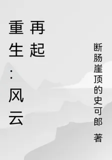重生：風雲再起 封面