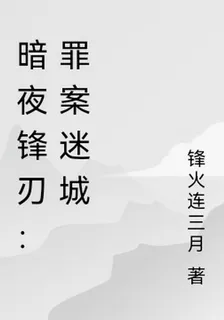 暗夜鋒刃：罪案迷城 封面