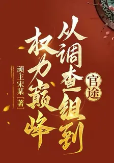 官途：從調查組到權力巔峯 封面