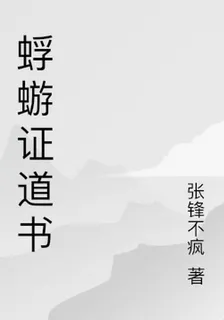 蜉蝣證道書 封面