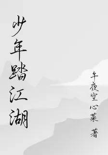 少年踏江湖 封面