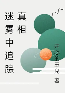 迷霧中追蹤真相 封面