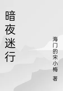 暗夜迷行 封面